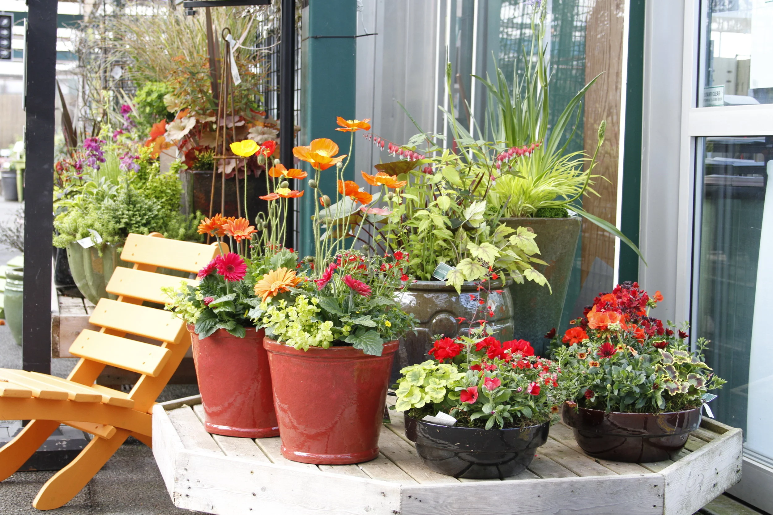 Meet Swansons' Container Design Team!