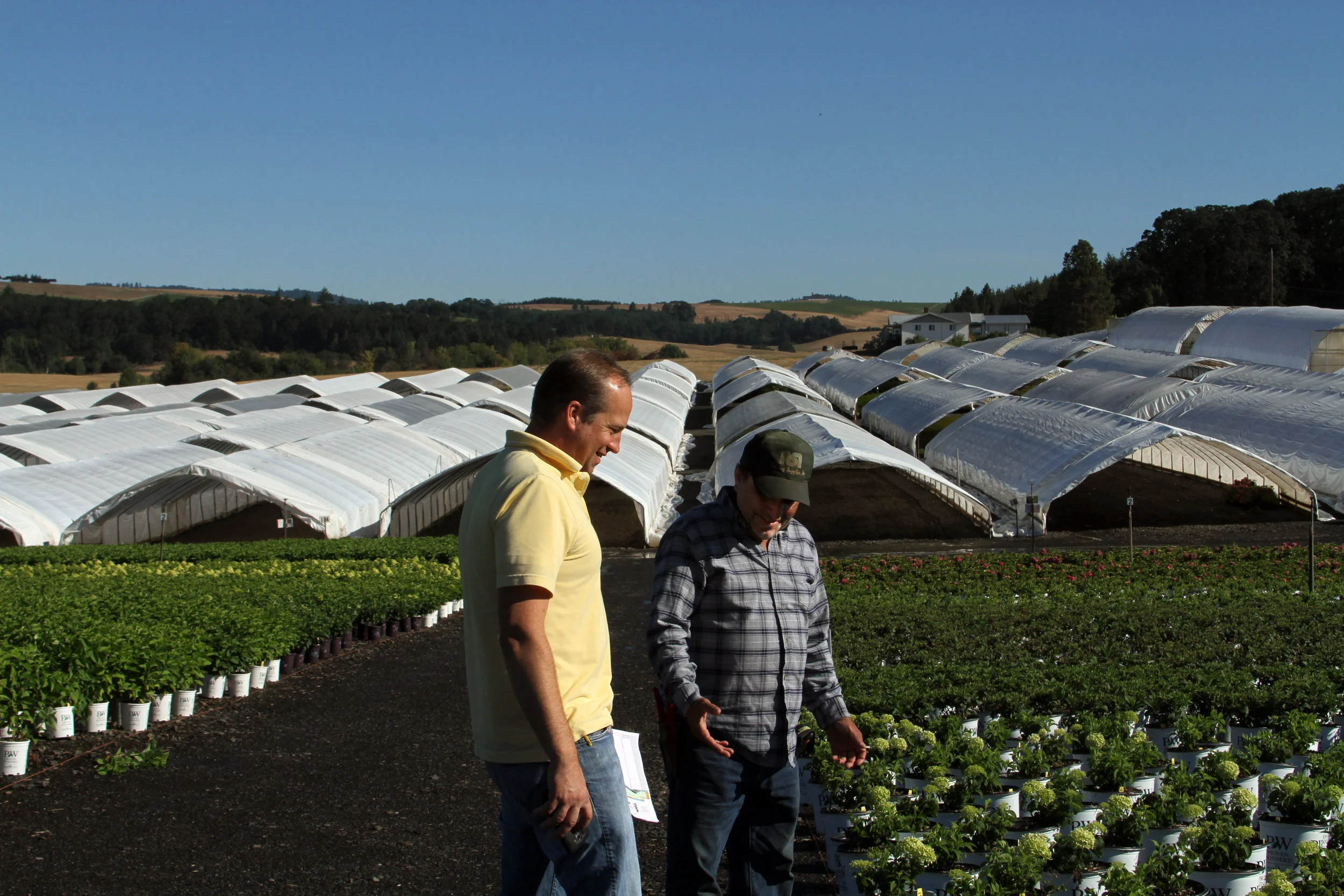 Gabriel and Sergio talking plants.