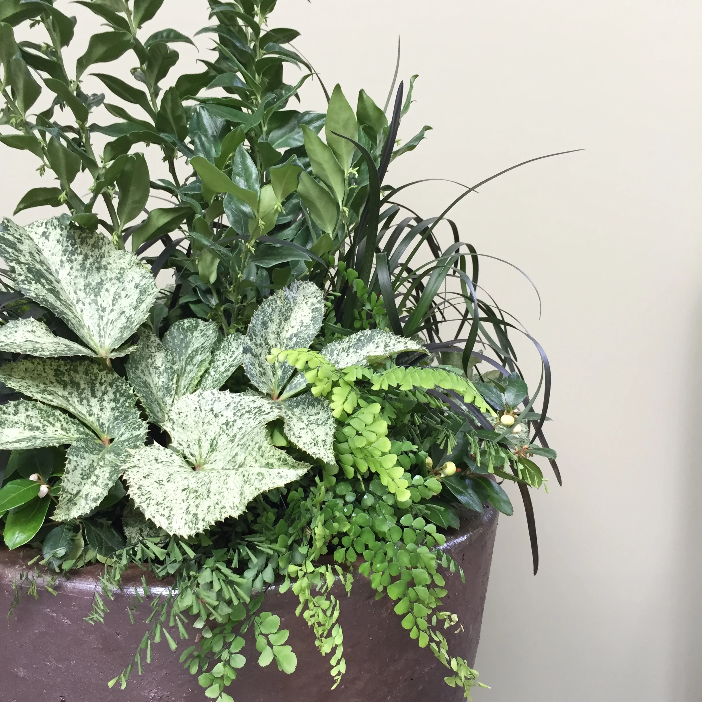 5 Container Gardens for Fall and Beyond  Seattle's Favorite Garden Store  Since 1924 - Swansons Nursery