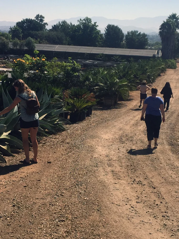 Me (left), wandering around a sea of cool succulents and cacti at Good Earth Nursery.