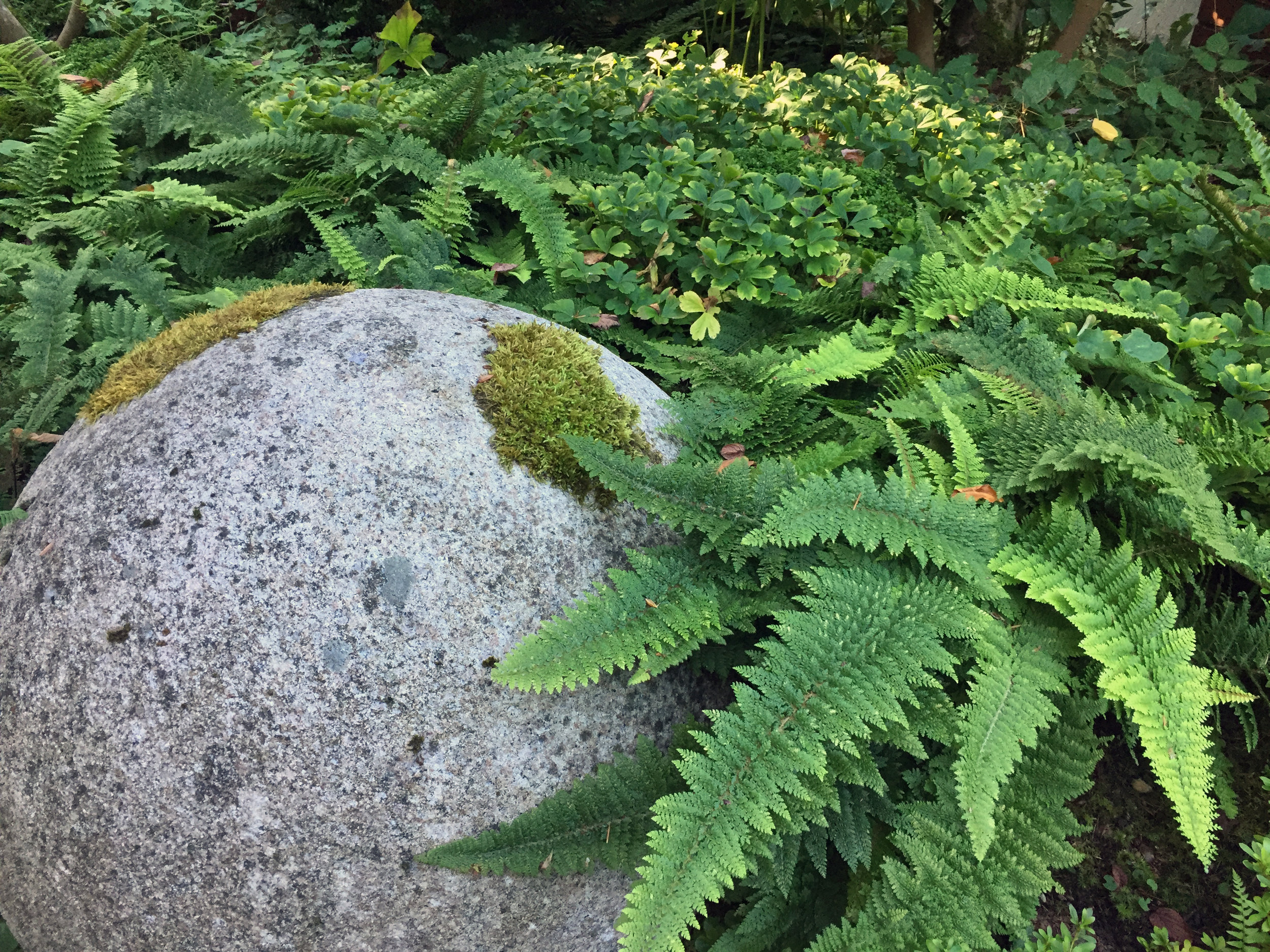 Garden Ornament with Ferns