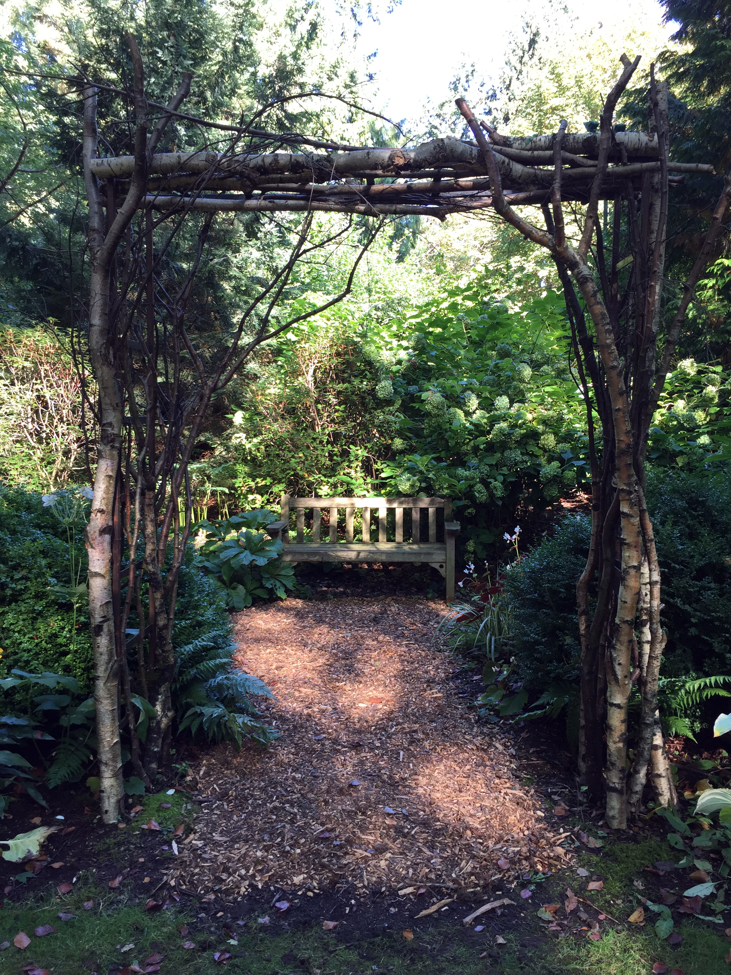 An Arbor Frames a Garden Bench