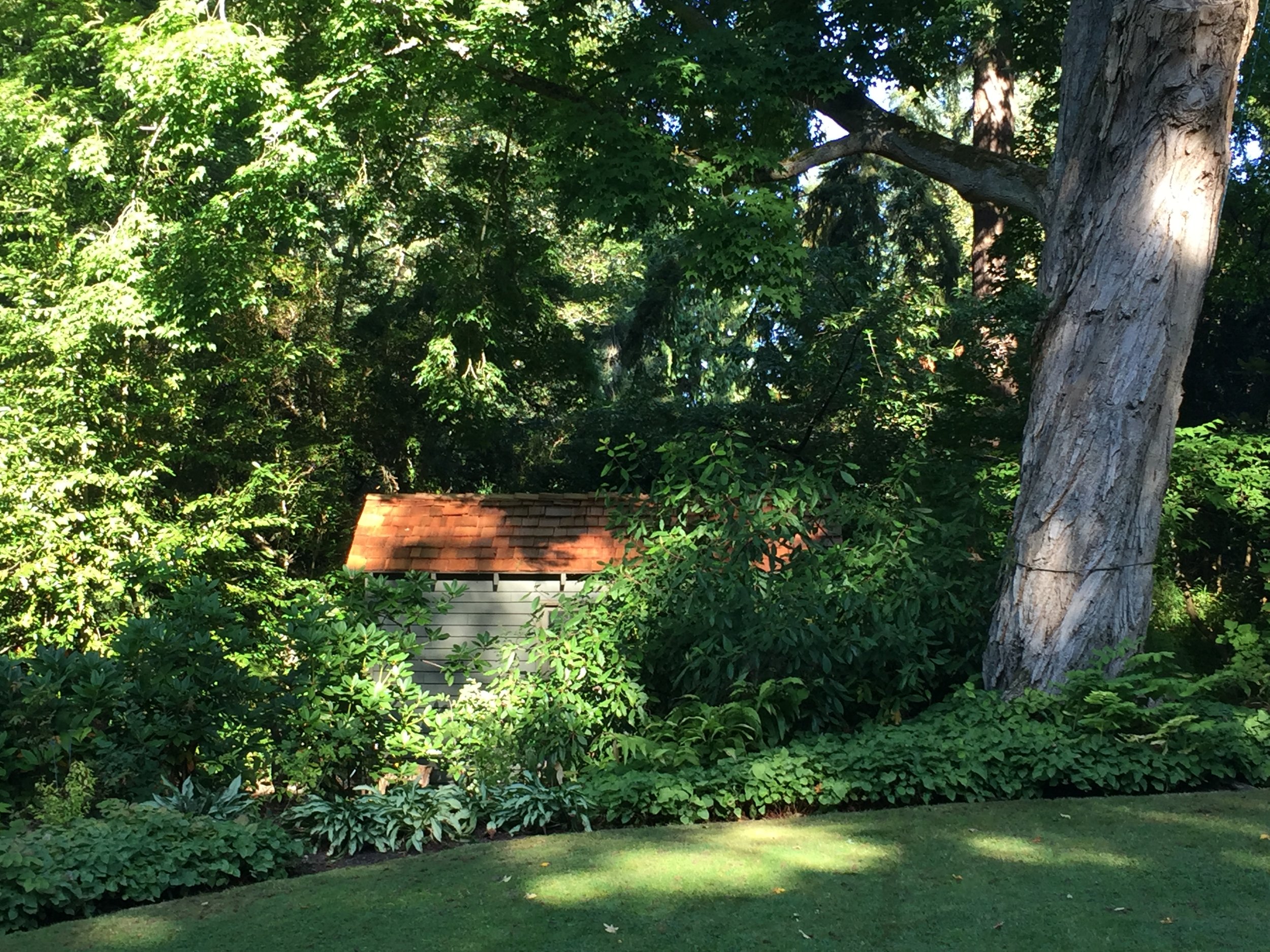 A Hidden Garden Shed