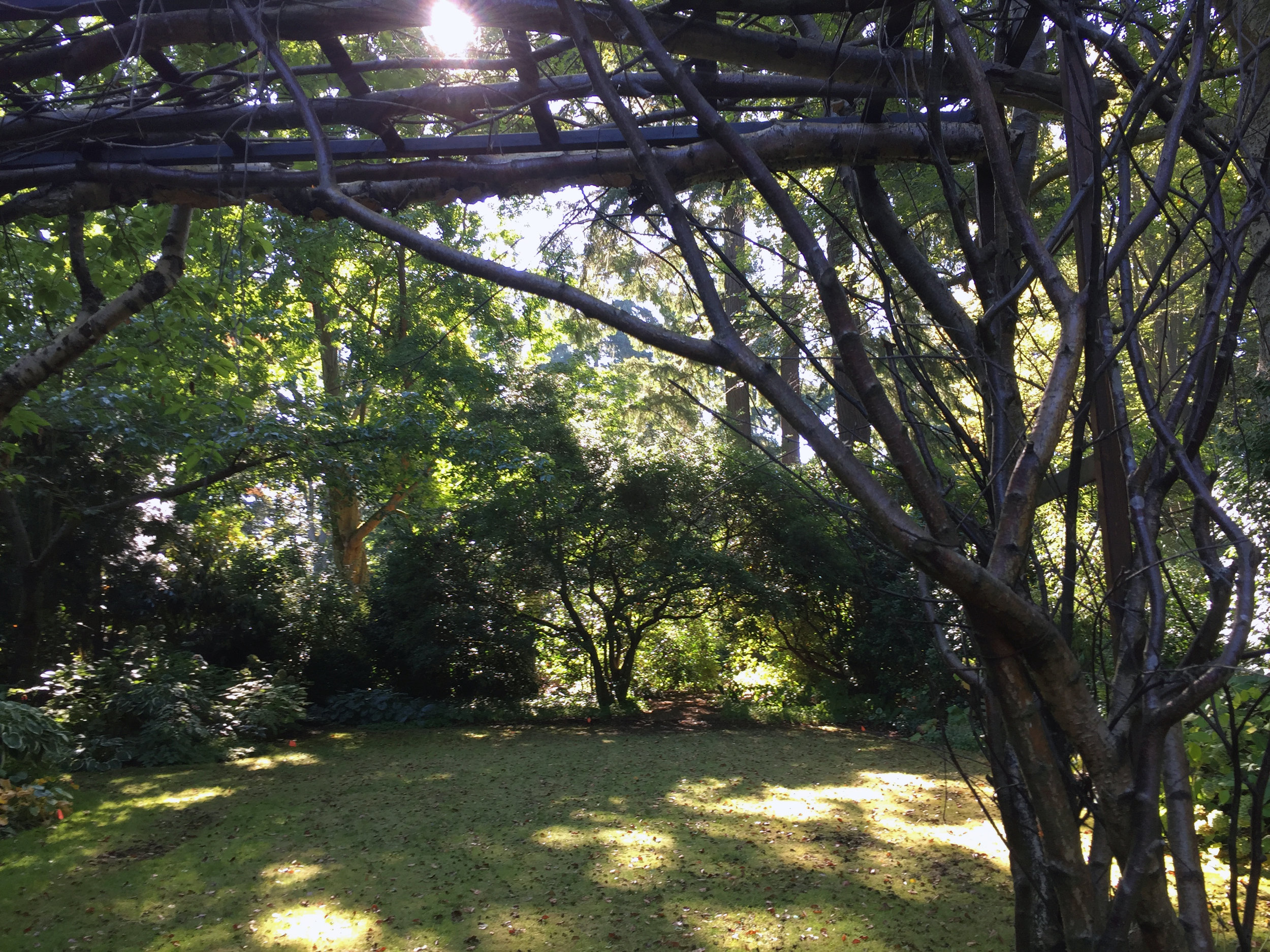 A Garden Room 