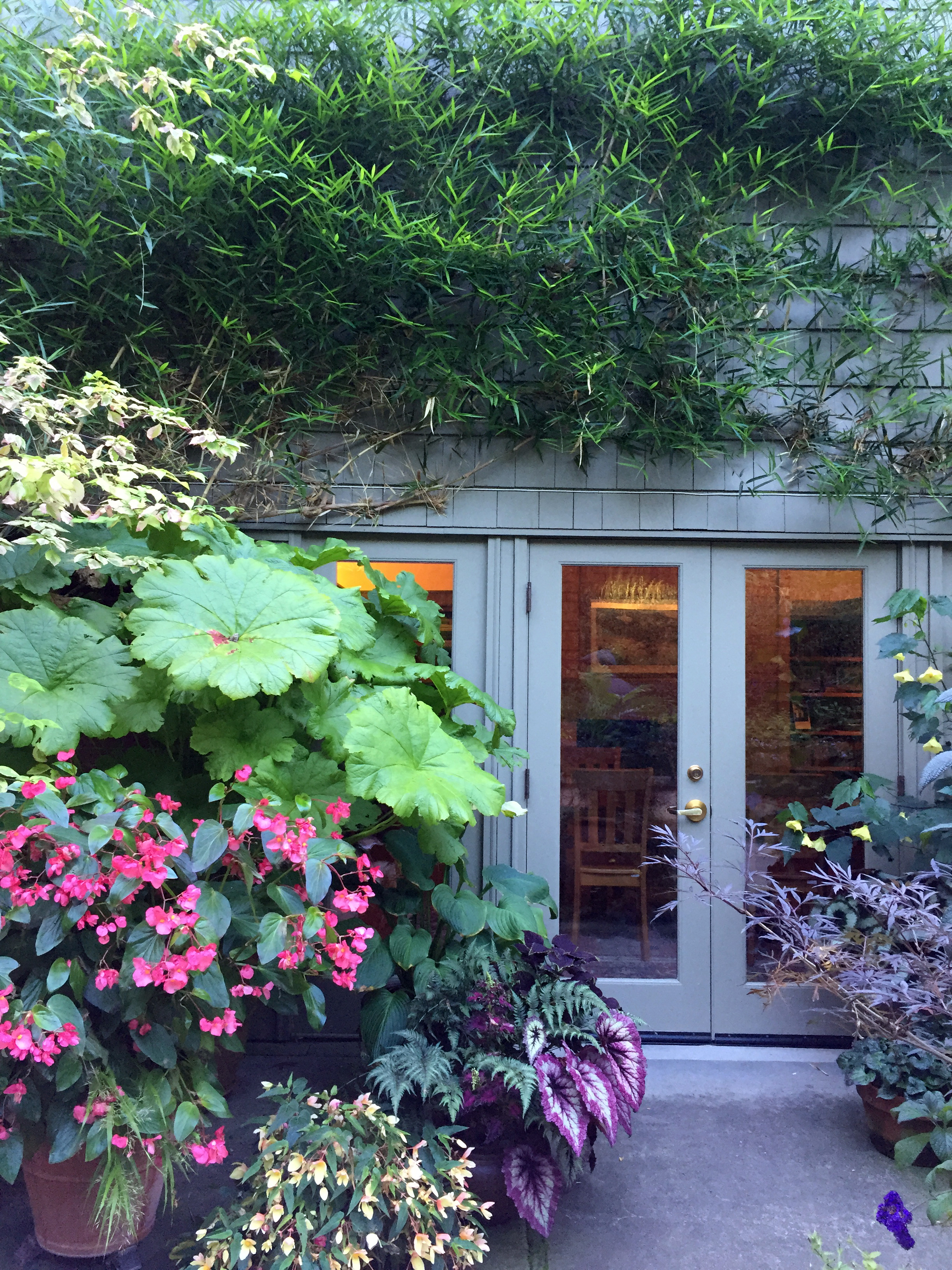 A View into the Trust Cottage