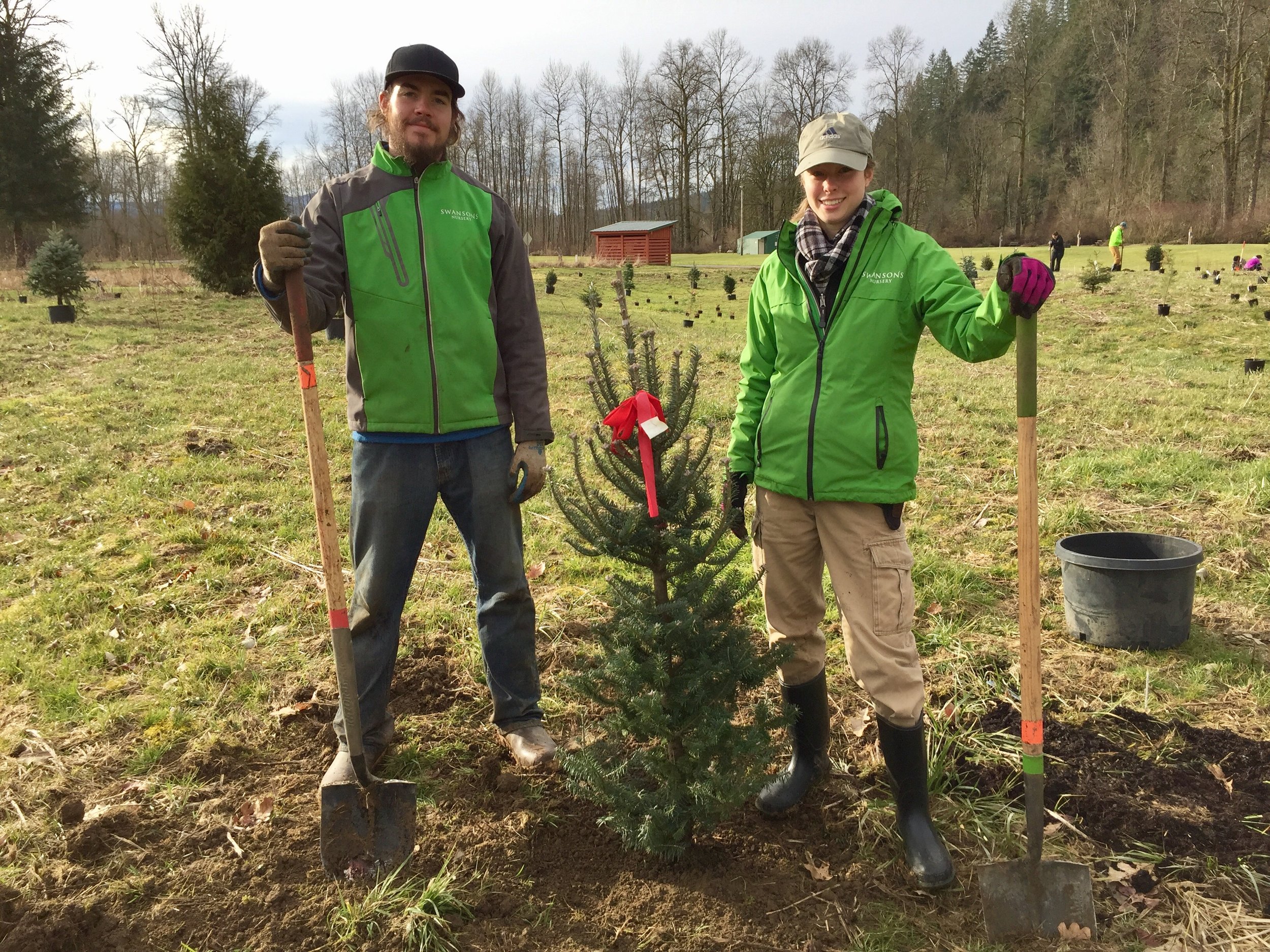 Planting trees with King County Parks