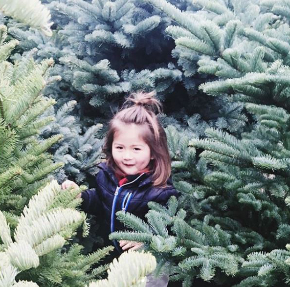 Getting lost in a wonderland of Christmas trees*