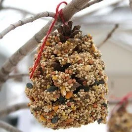pineconebirdfeeder.jpg