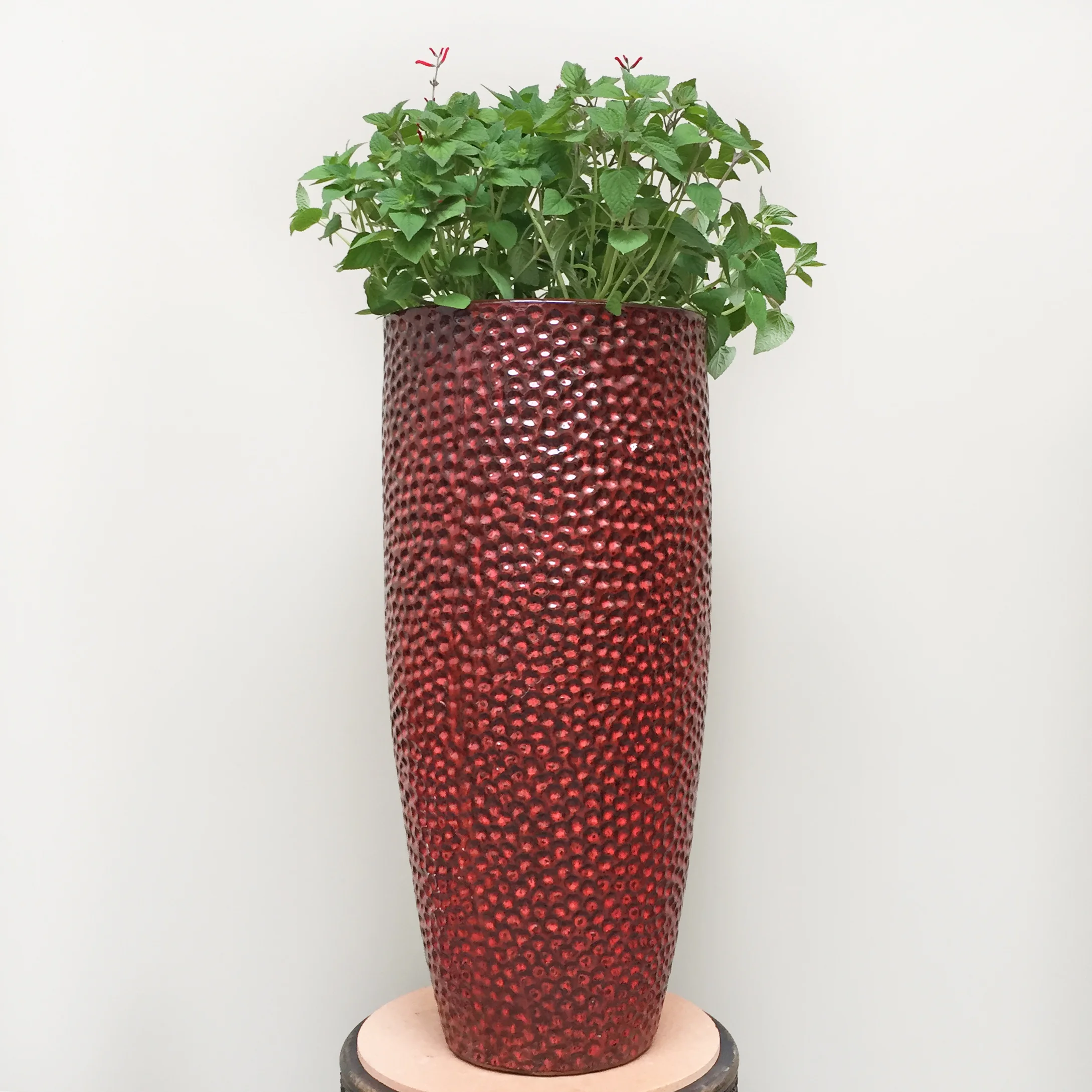 Choosing The Right Container For Your Garden — Seattle's Favorite ...