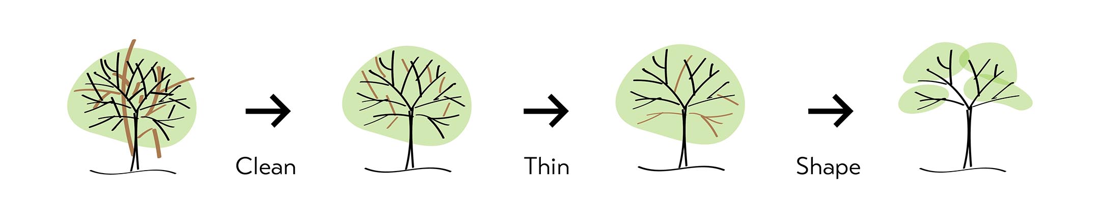 PRUbasics_thin_3steps.jpg