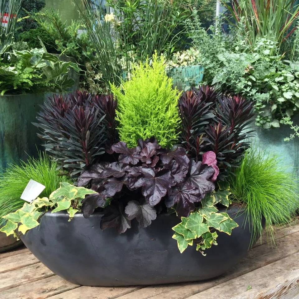 Refreshing Your Containers for Fall — Seattle's Favorite Garden Store ...
