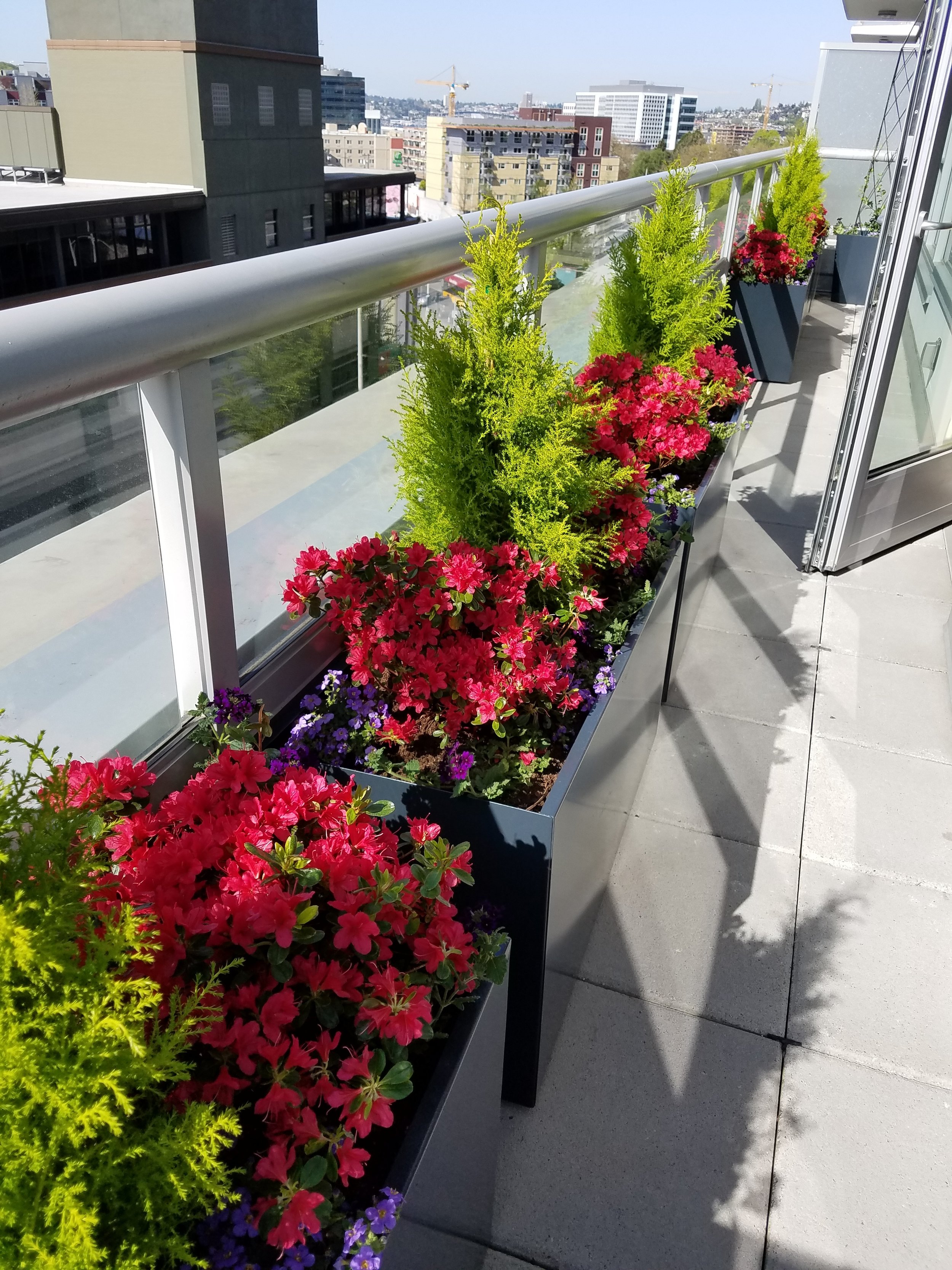 20180426_161311.jpg