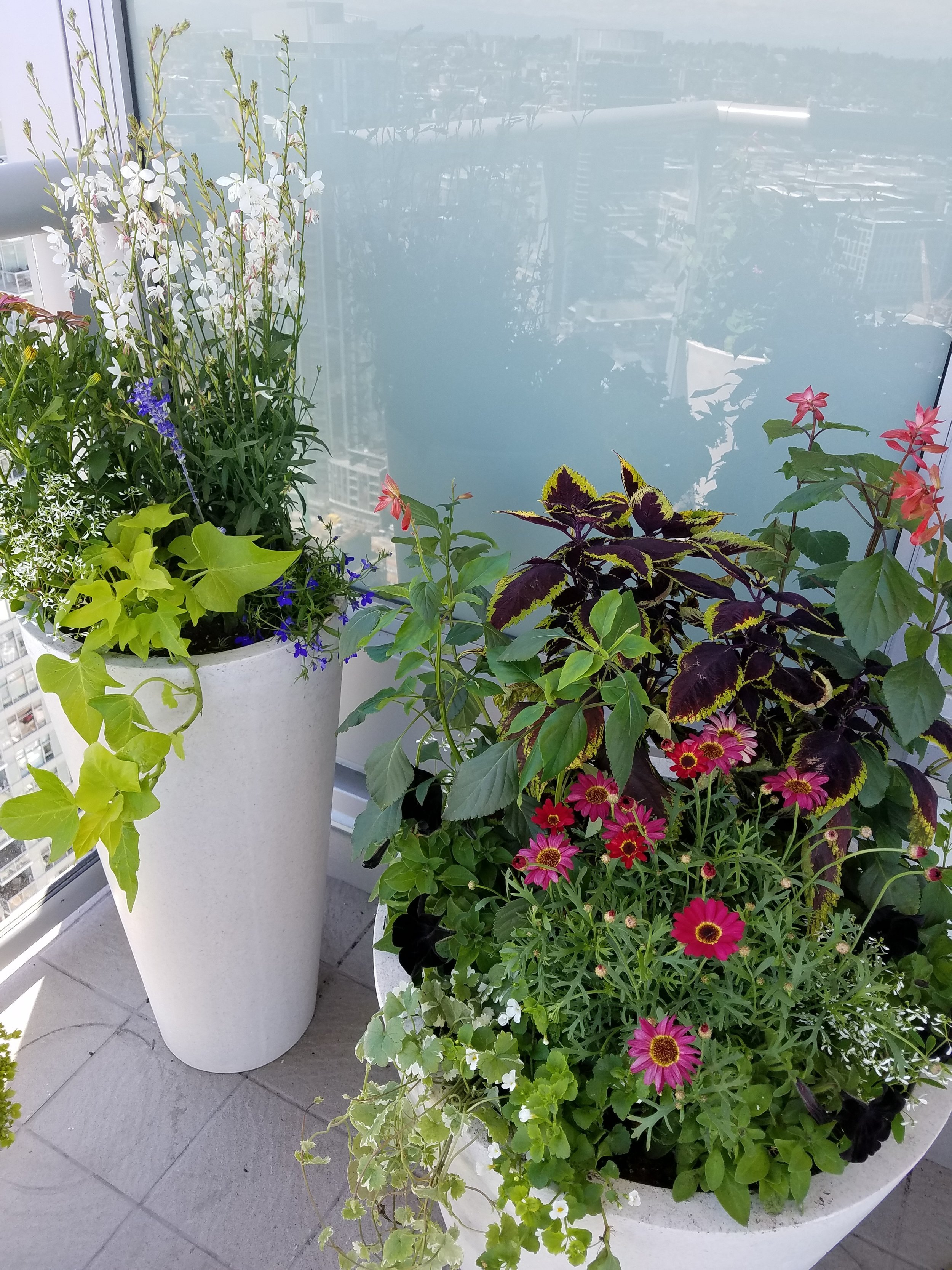 20180703_132957.jpg