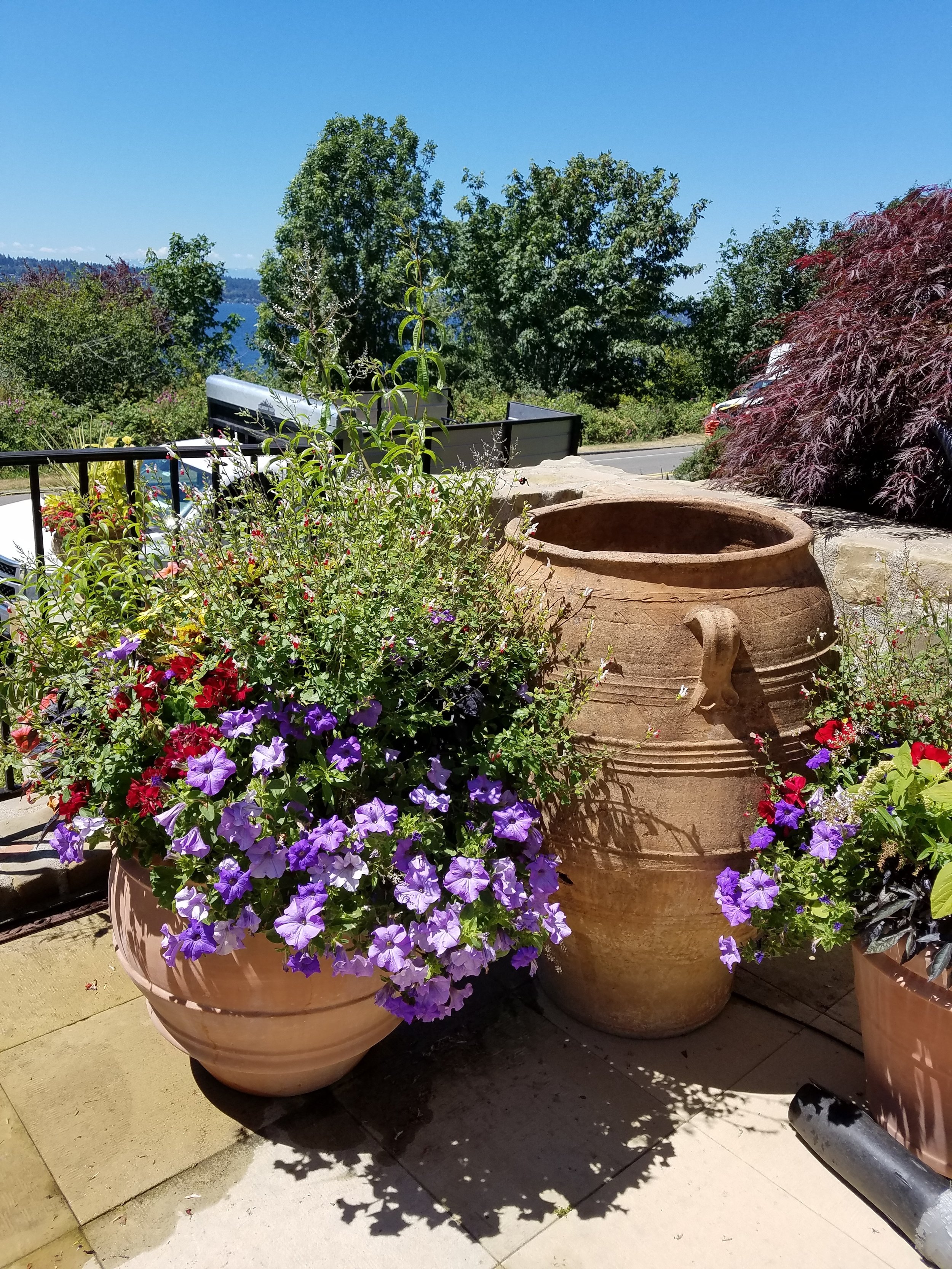 20180711_134123.jpg