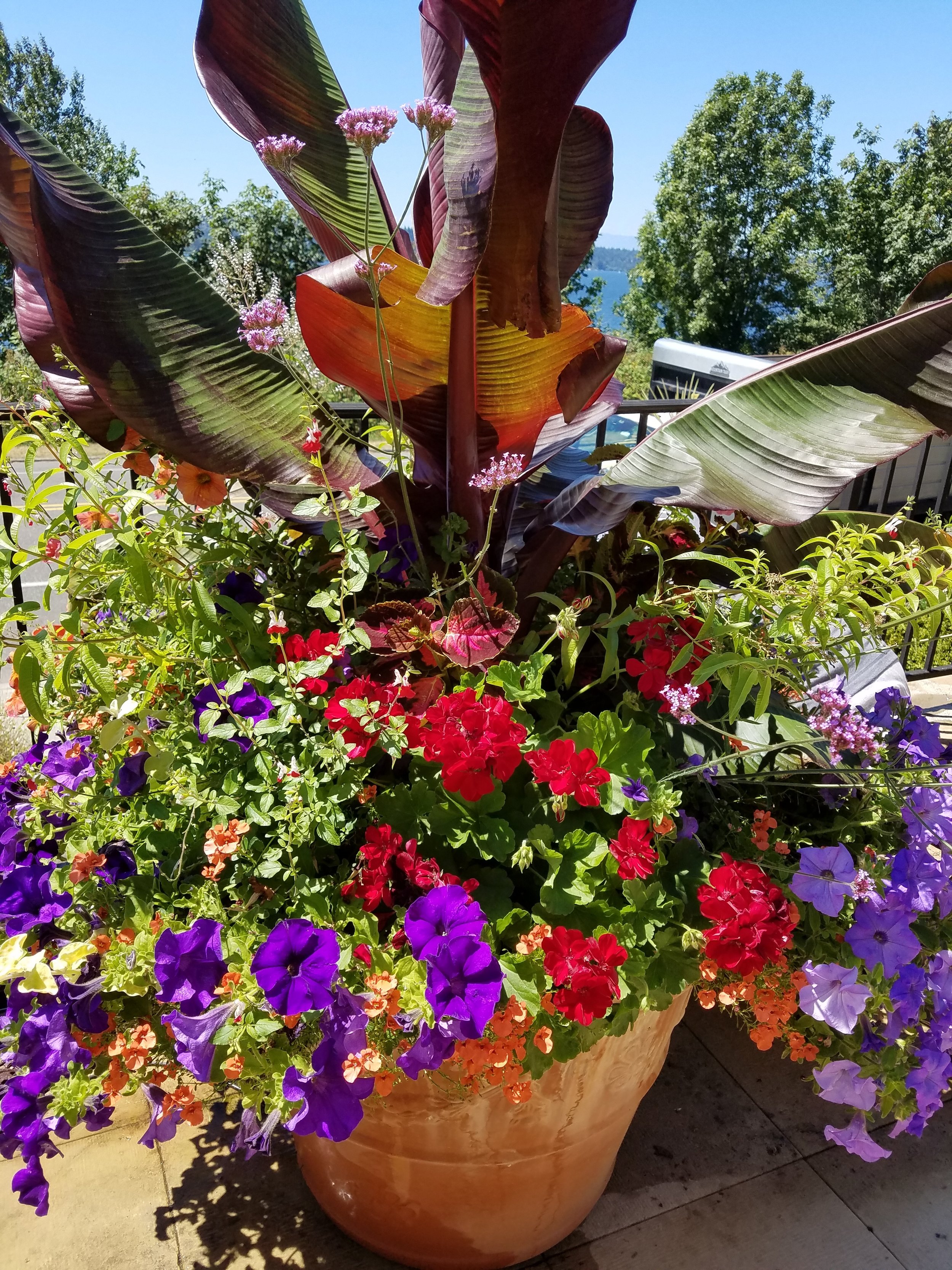 20180711_134118.jpg