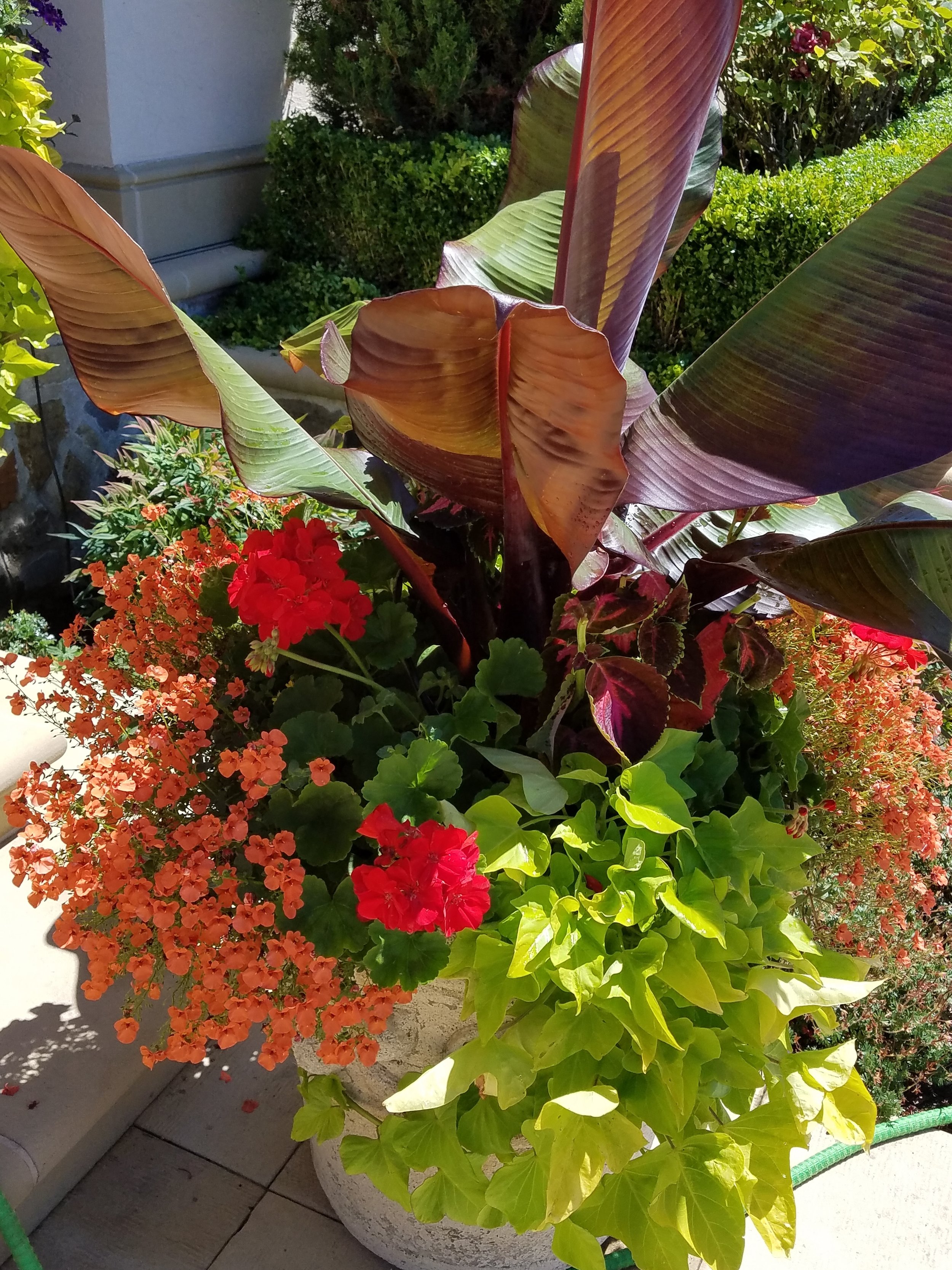 20180711_134313.jpg