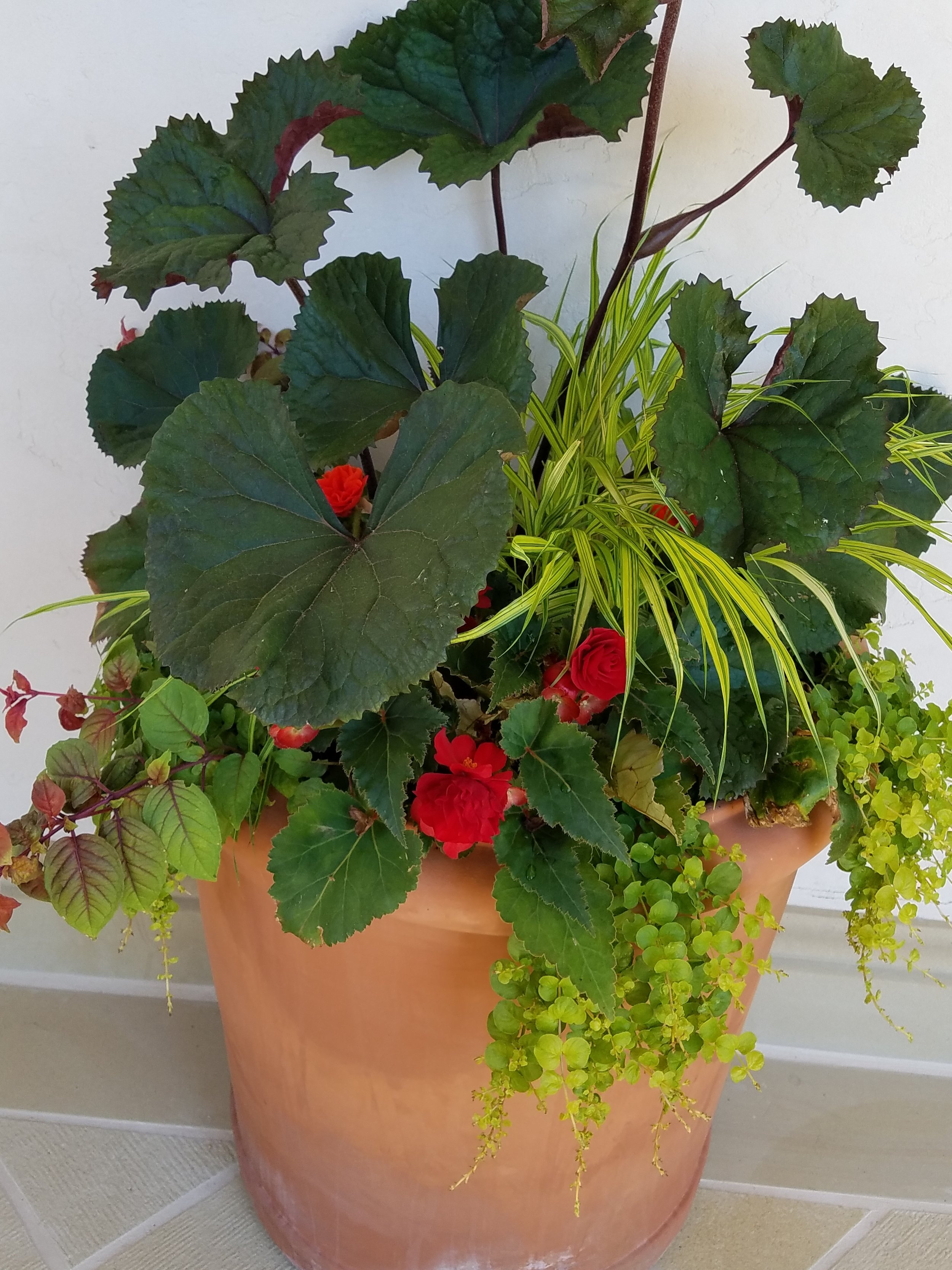 20180711_134355.jpg