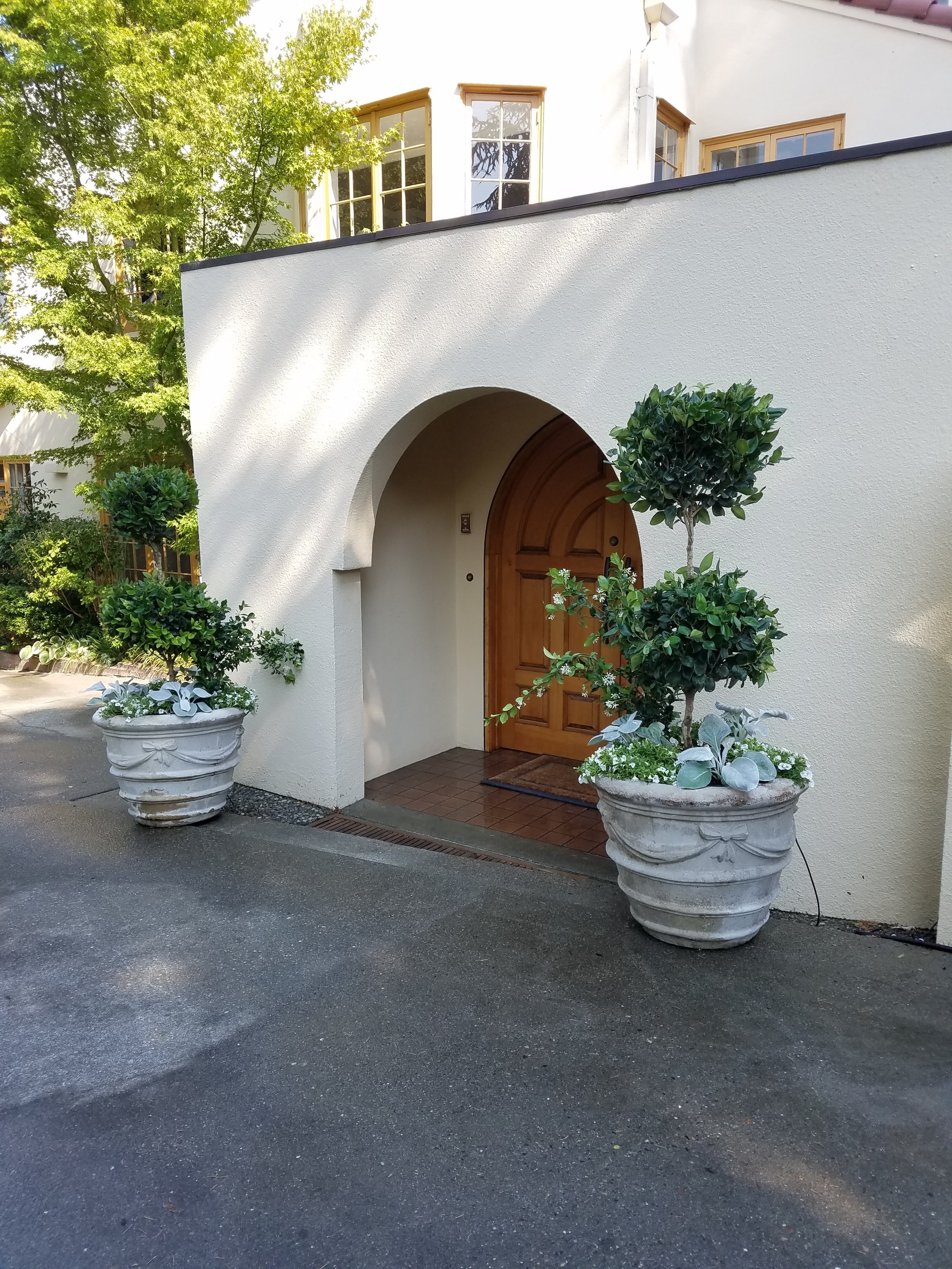 20180806_155646.jpg