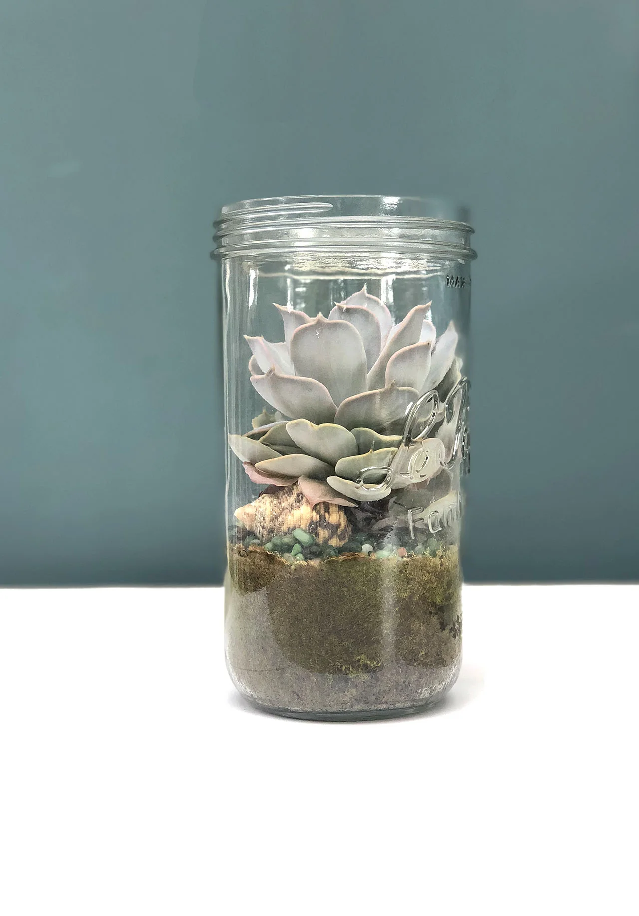 terrarium19_09.jpg