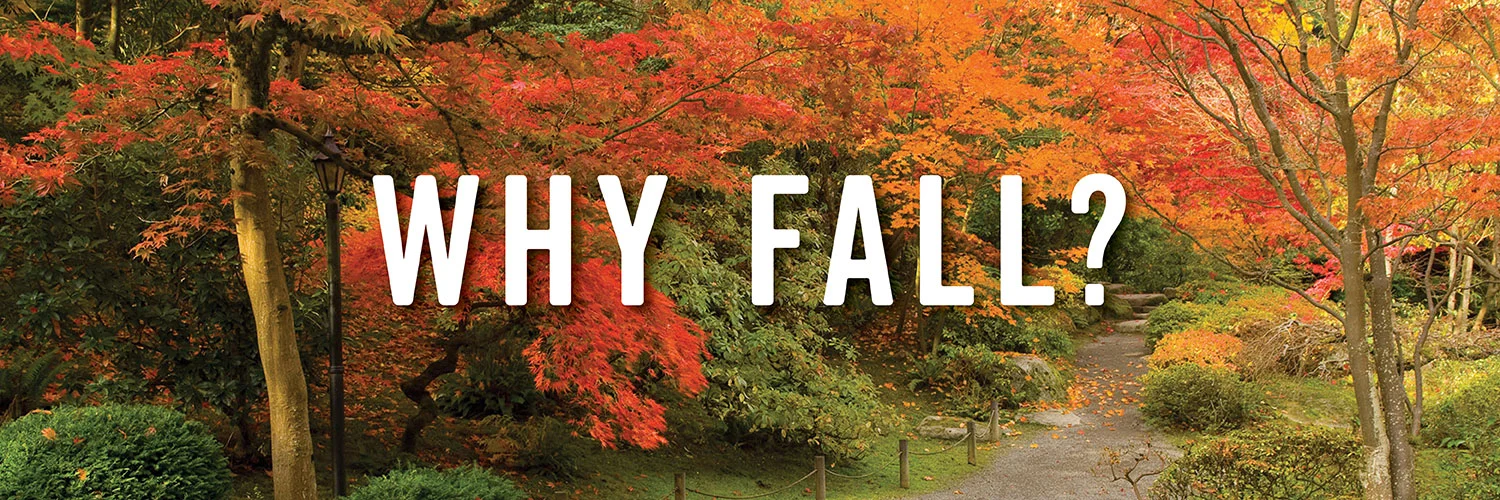 FS19_WhyFall_horz.jpg