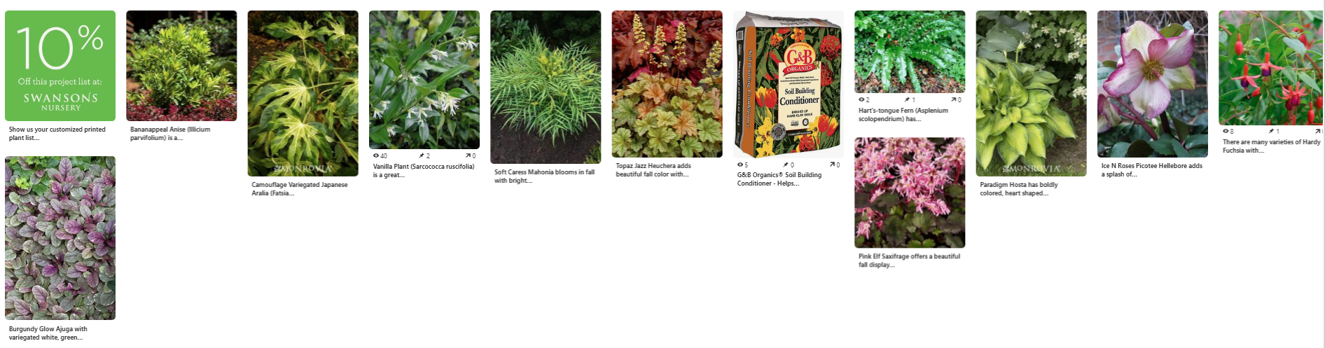 Pinterest Inspiration Board for Diane’s Shady Garden