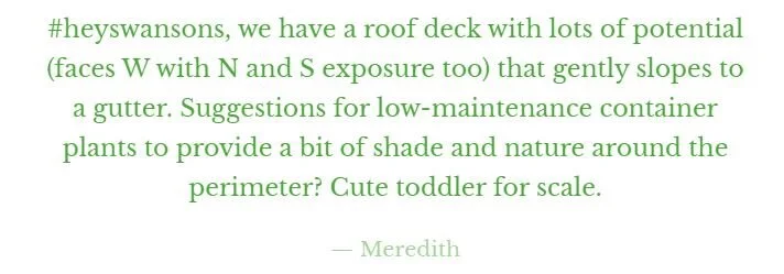 Meredith_quote.JPG