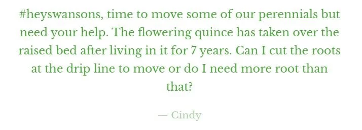 Cindy_quote.JPG
