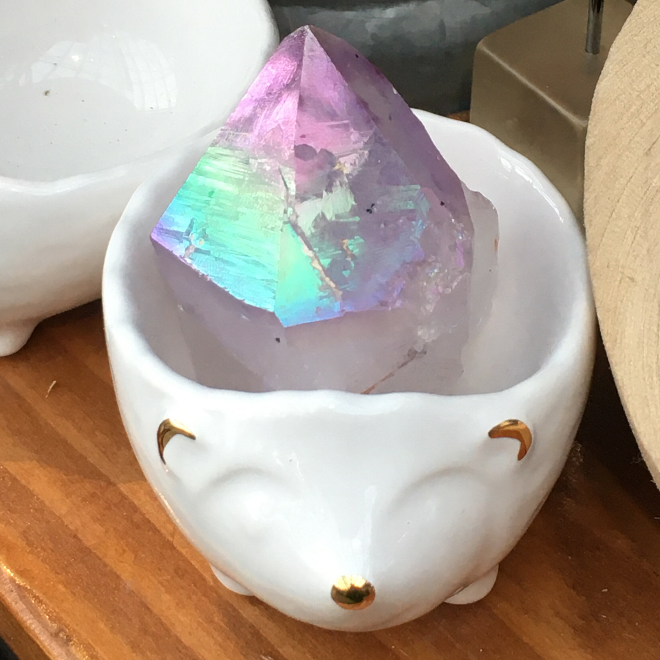 crystal in animal pot.jpg