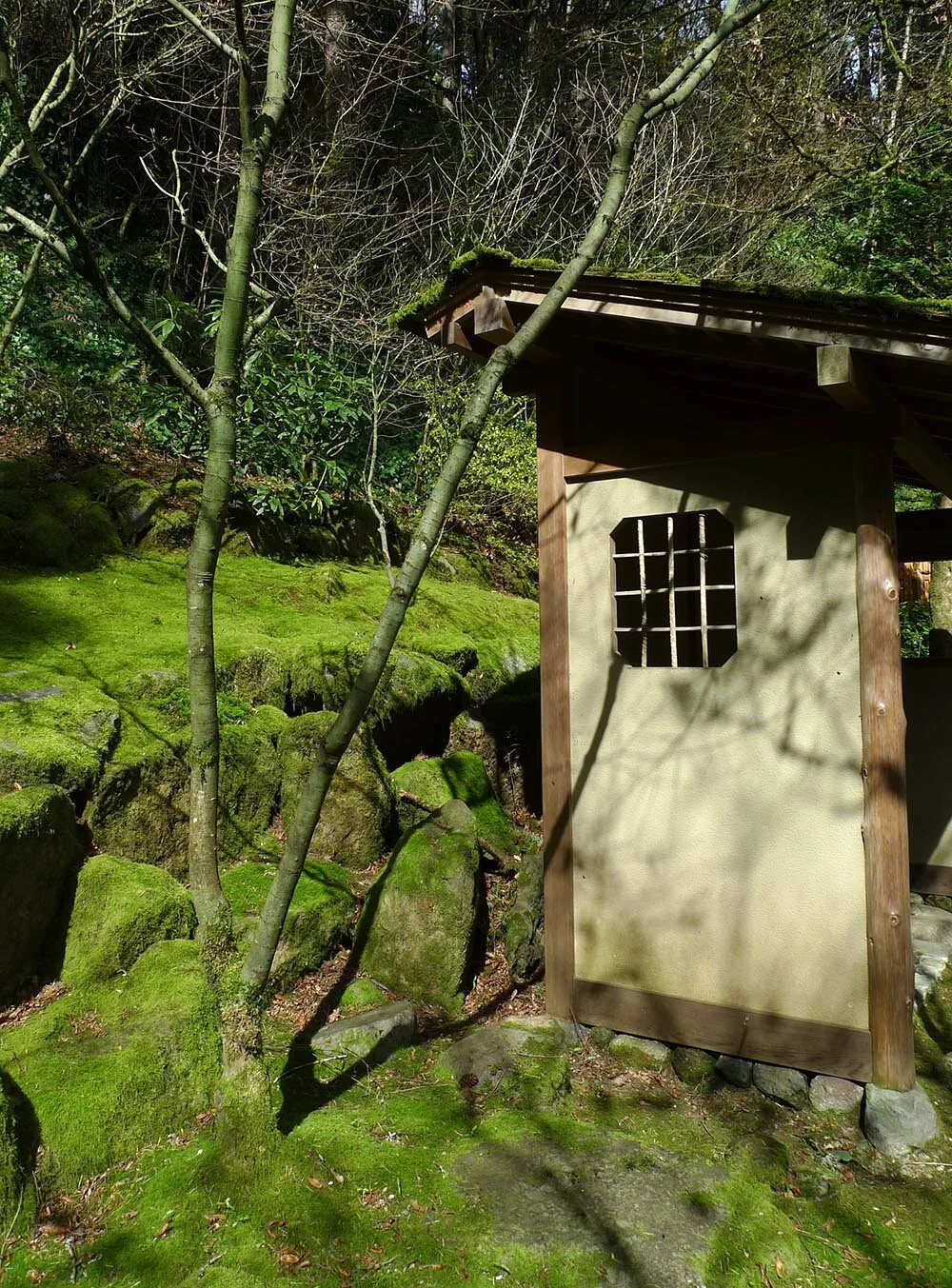 The Wabi-Sabi Garden — Swansons Nursery - Seattle's Favorite Garden
