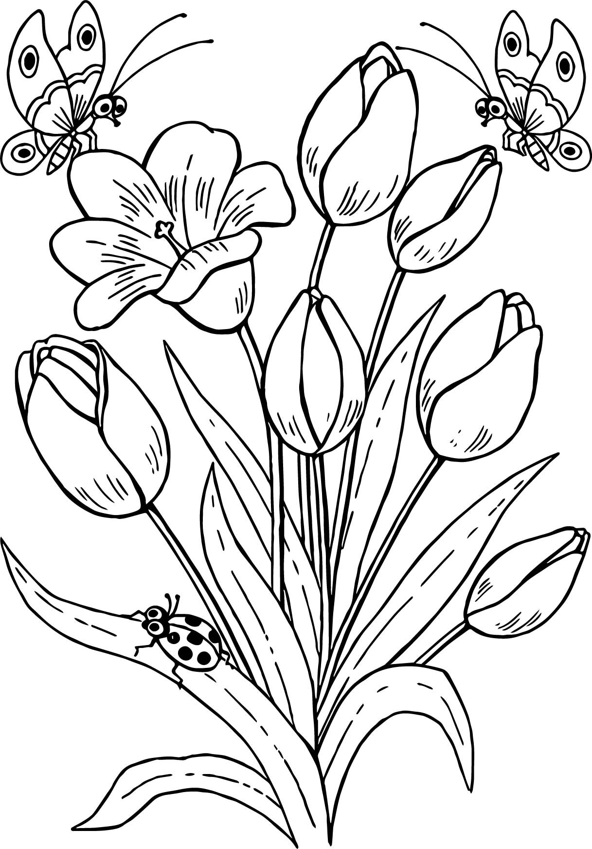 Field Of Flowers Coloring Page - englshfla