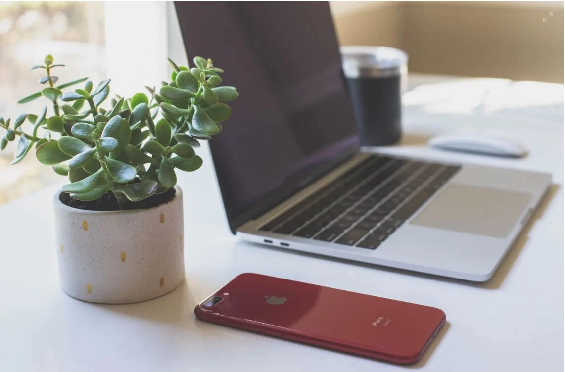 9 Houseplants To Beautify Your Home Office 