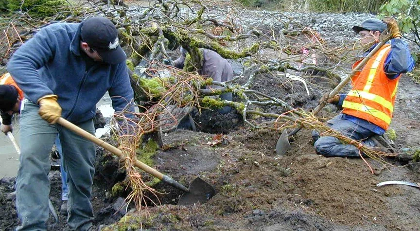 Plants On The Move, with Greg Butler