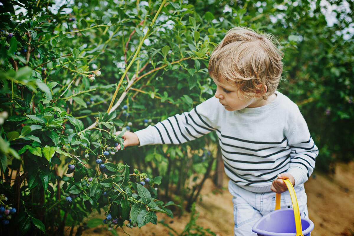 Growing Food 