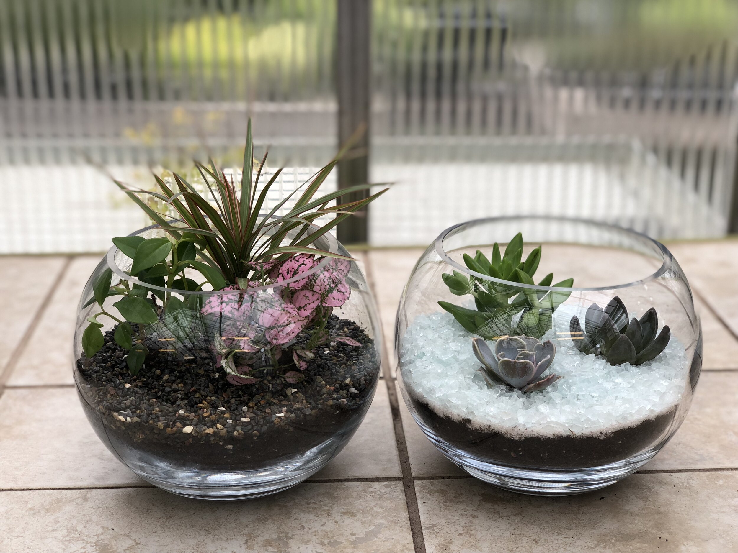 glass terrariums.jpg