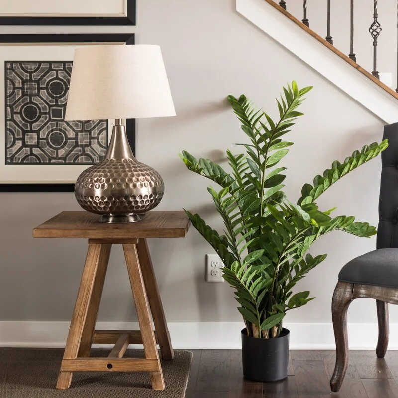 ZZplant_wayfair.jpg