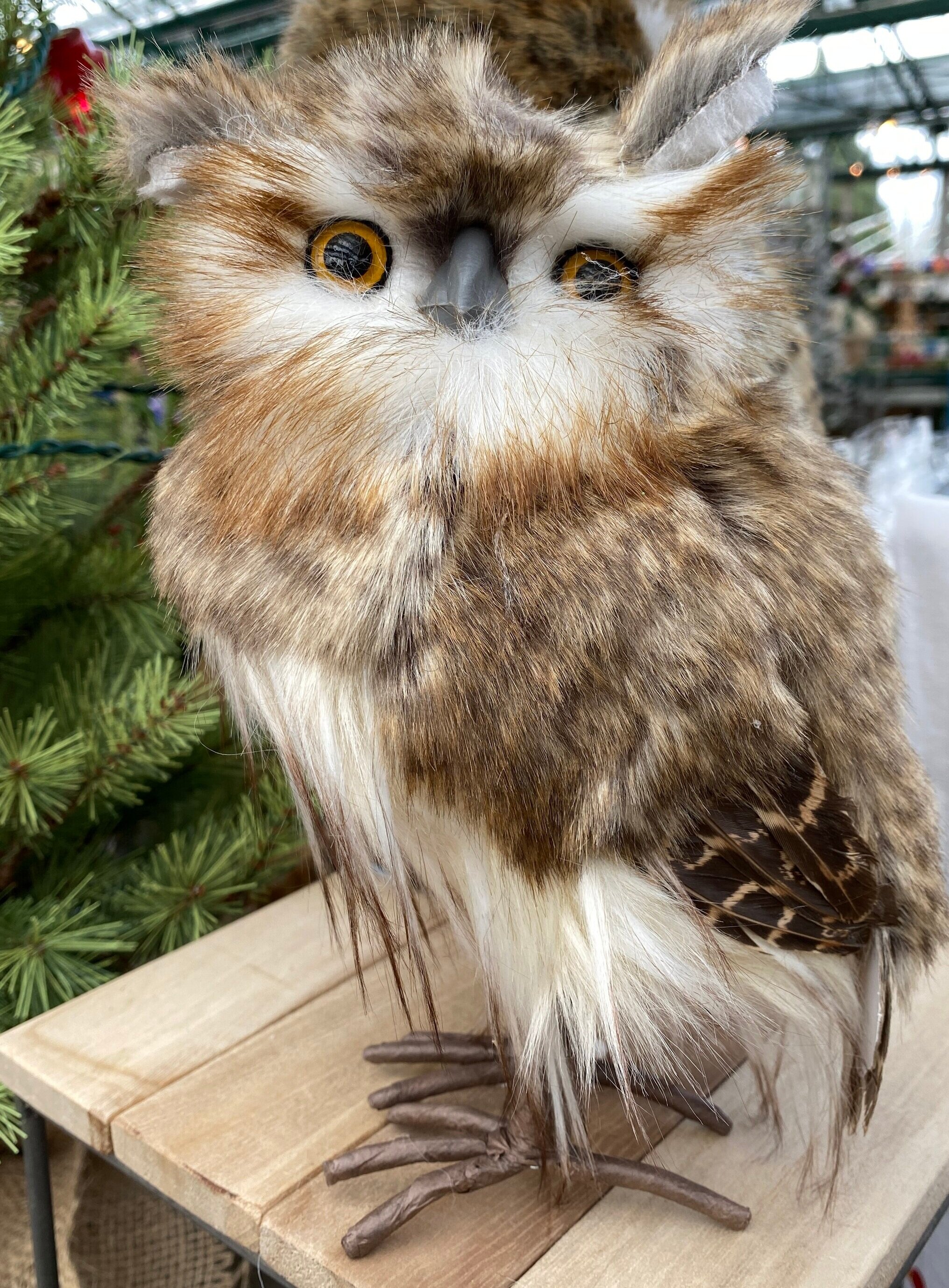 Feathery Owl Decor