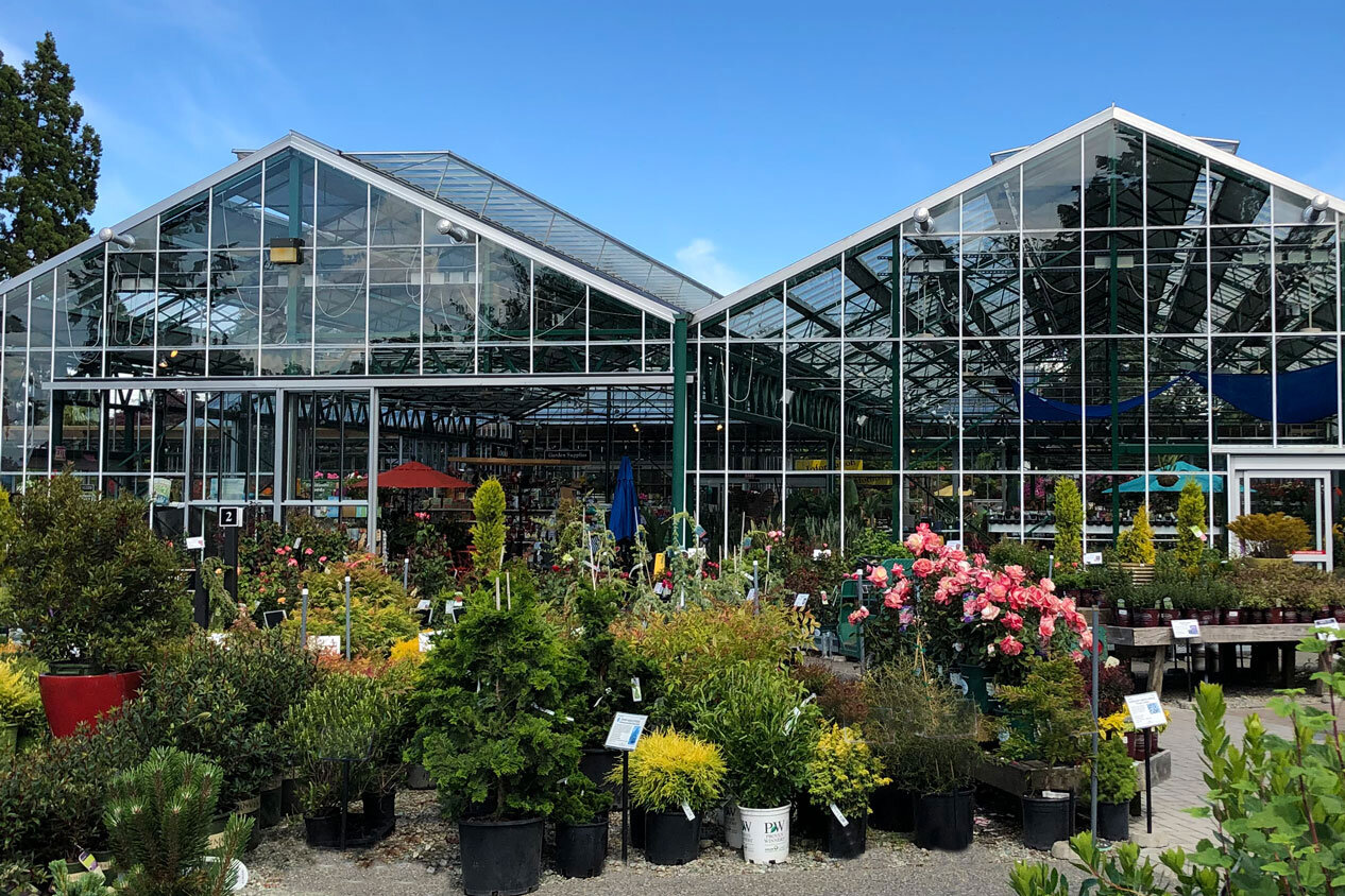 Pots for Indoor Plants — Seattle's Favorite Garden Store Since 1924 -  Swansons Nursery