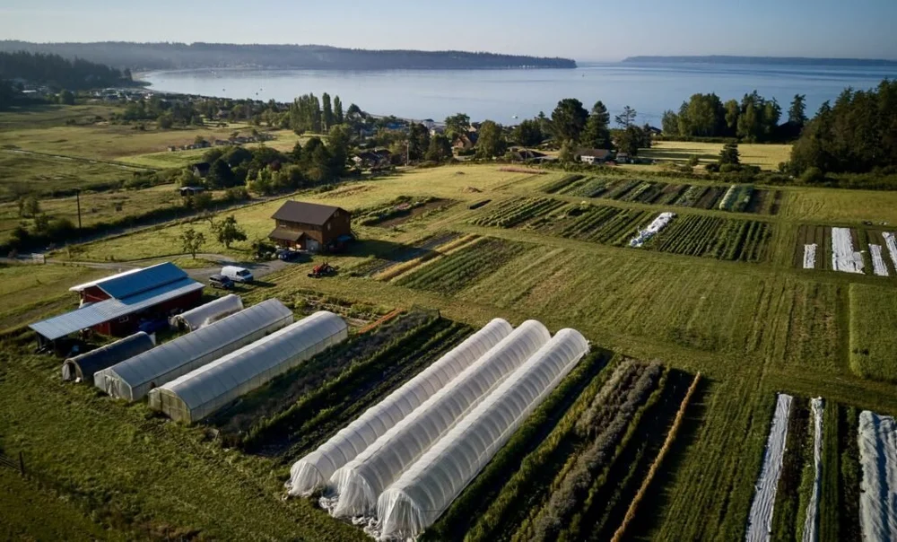 Aerial photo of Deep Harvest Farm overlooking Mutiny Bay