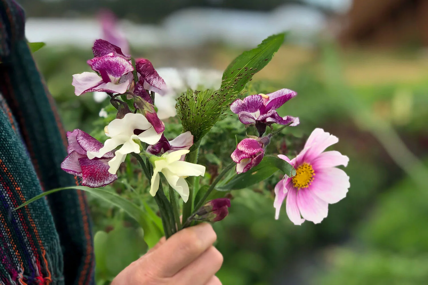 Deep-Harvest-Farm-Flower-Bouquet.jpg