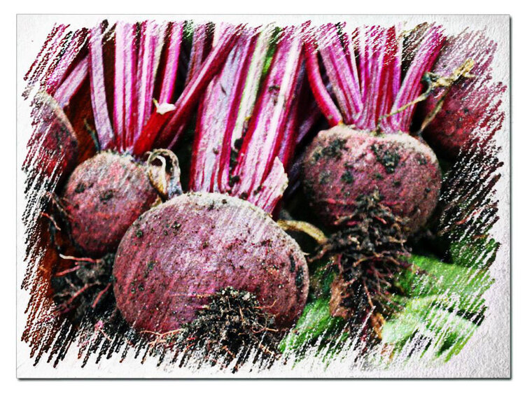 Red-Beets.jpg