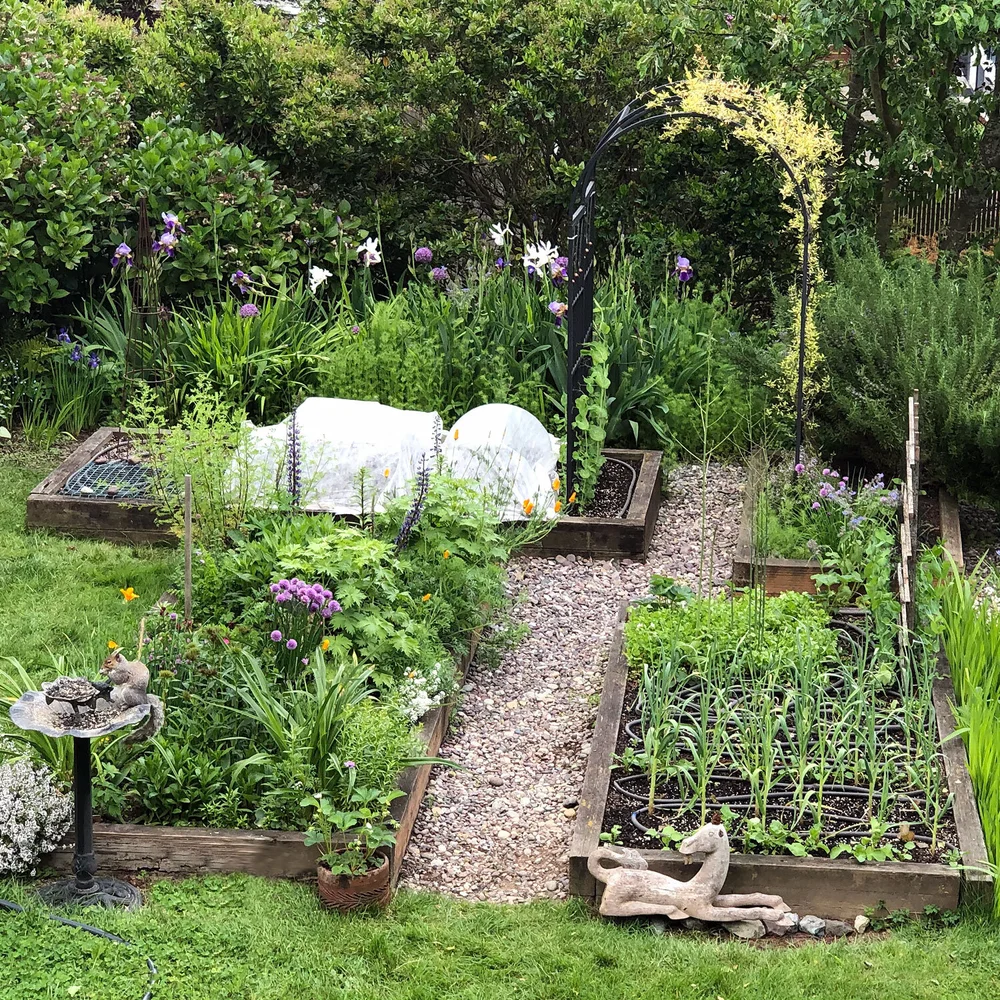 Guide to Growing Food — Seattle's Favorite Garden Store Since 1924 -  Swansons Nursery