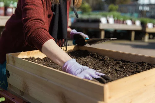 How to Garden in Planter Boxes: A Swansons Nursery and Dunn DIY ...