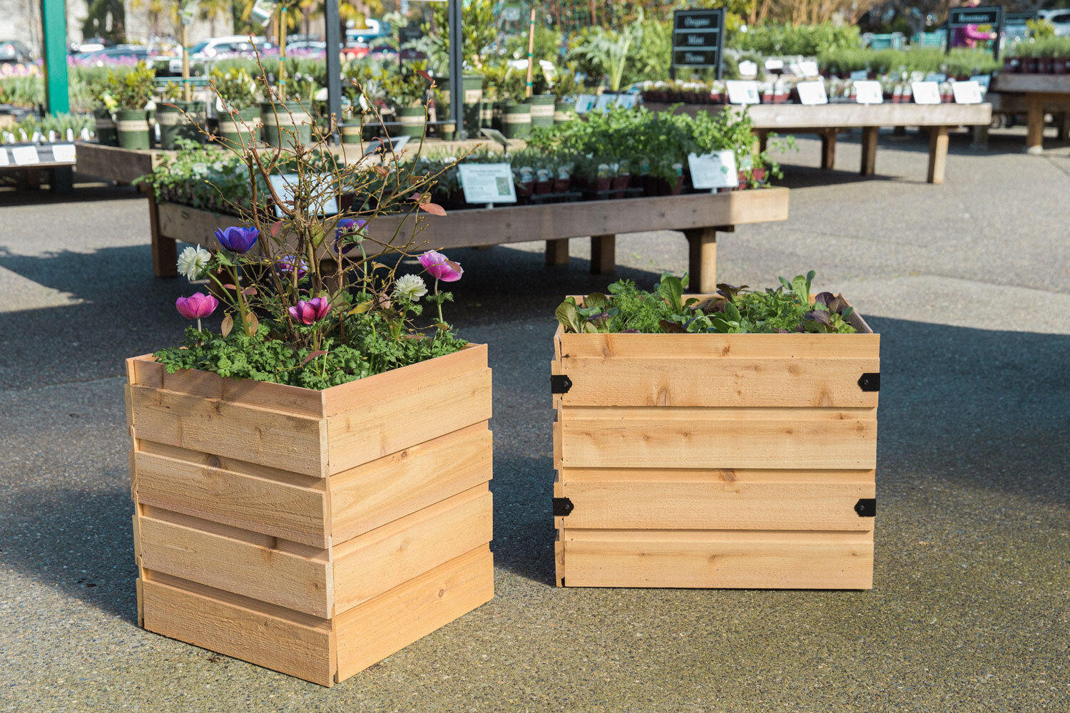 How to Garden in Planter Boxes: A Swansons and Dunn DIY Collaboration — Seattle's Favorite Garden Store Since Swansons Nursery