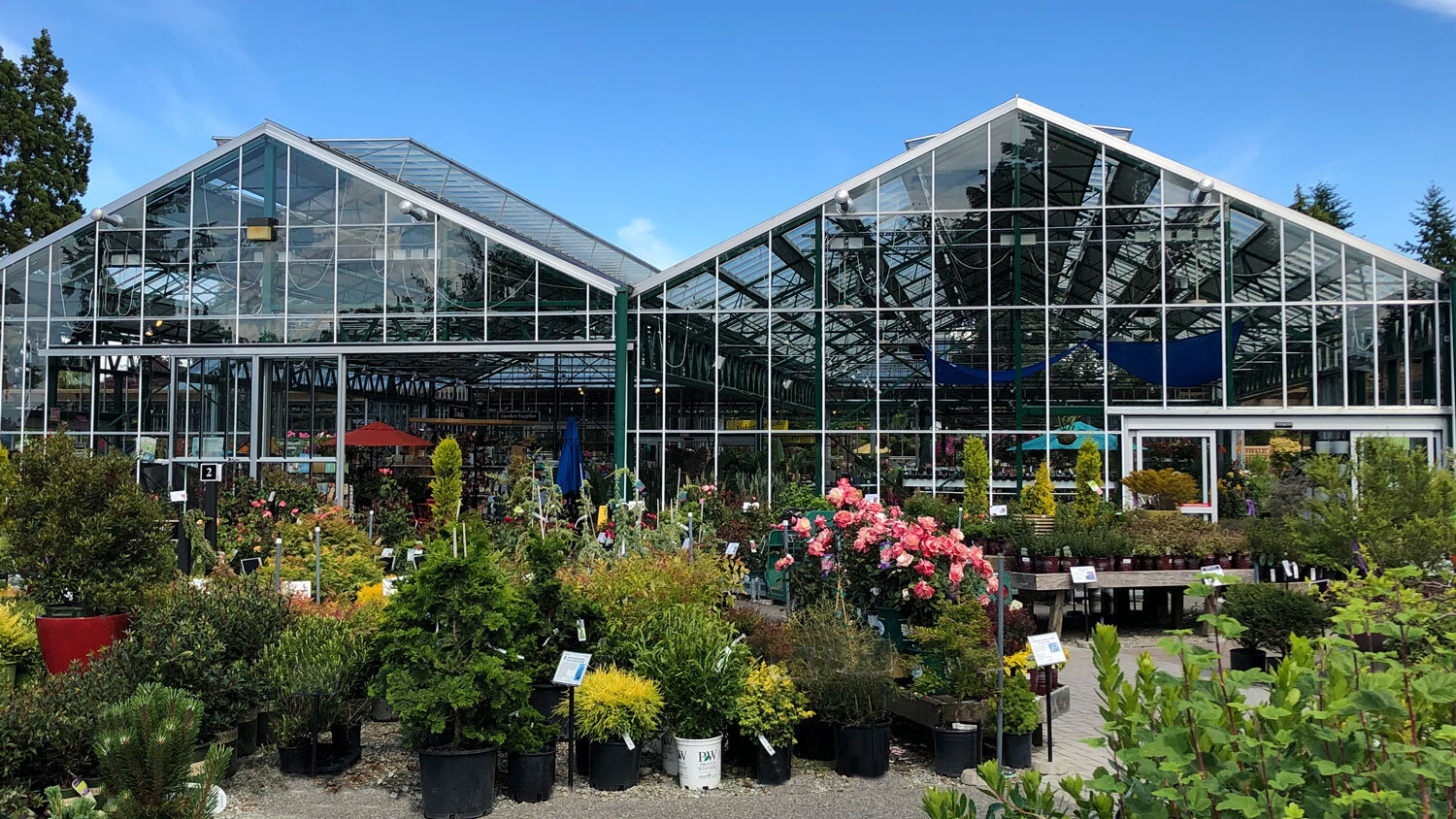 Exciting News! The 'Grow With Us' Program Has Now Launched