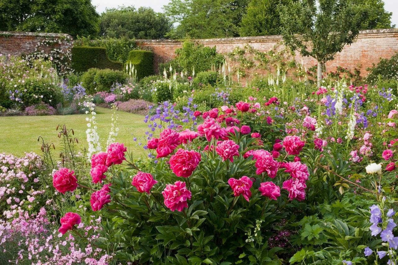The 10 Best Late-Spring Flowers