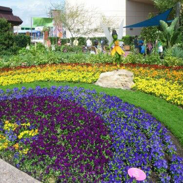 Rainbow garden with flower fairy