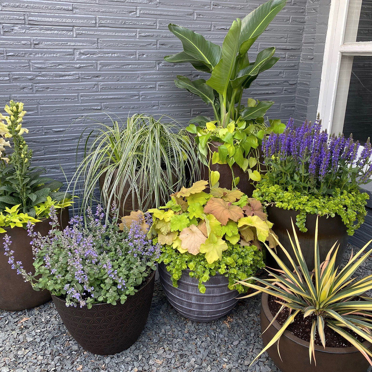 Your Plants Survive Vacation, Outdoor Pot Plant Shrubs
