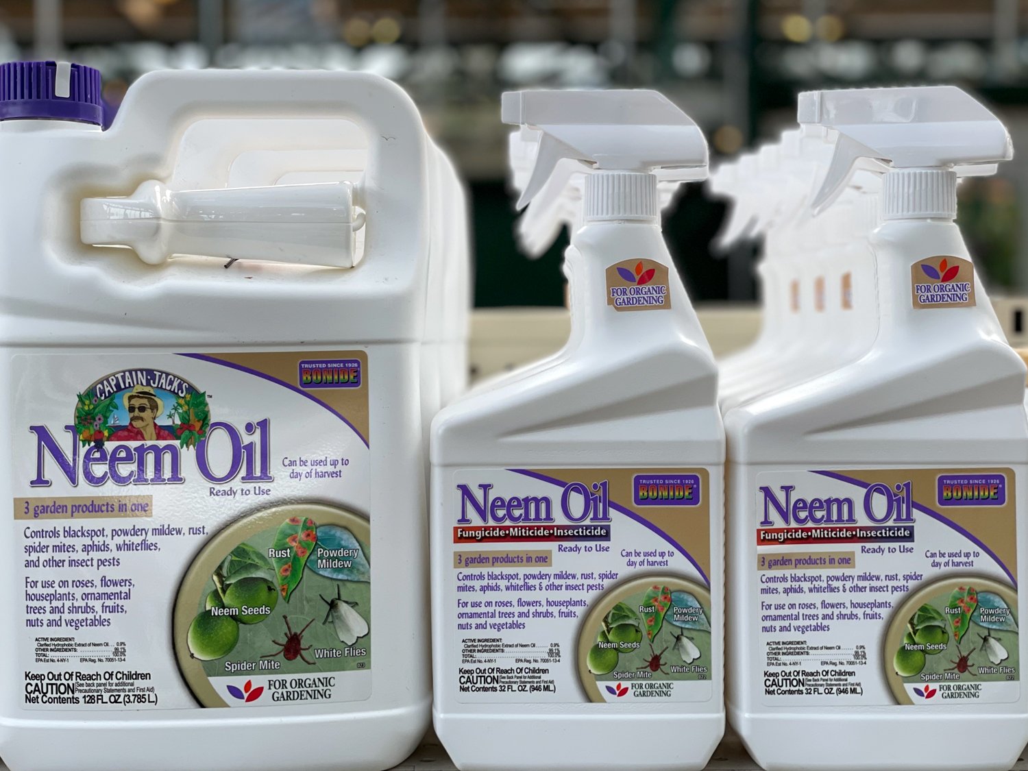 Neem Oil