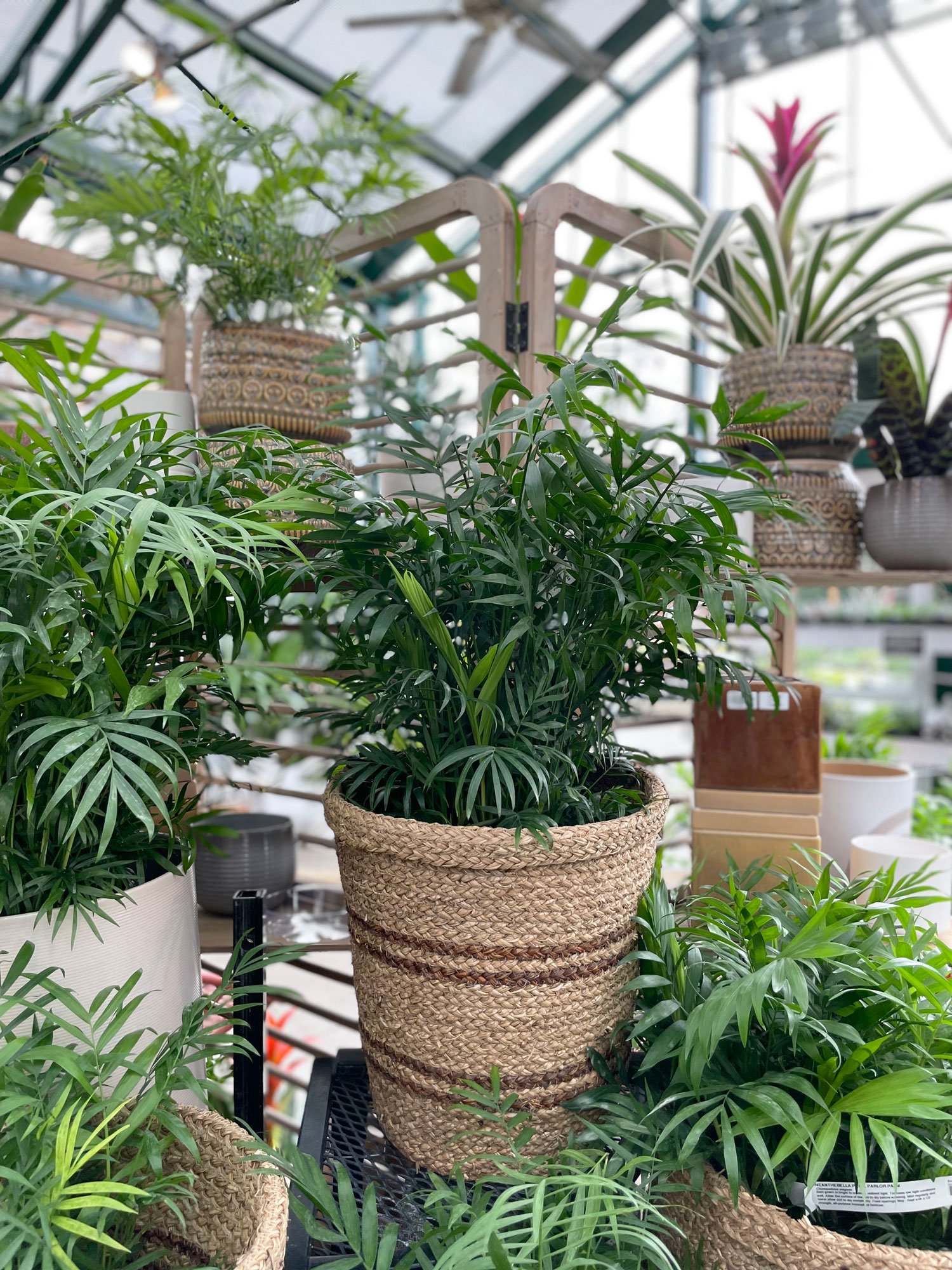 indoor-plants-and-baskets-in-pavilion.jpg