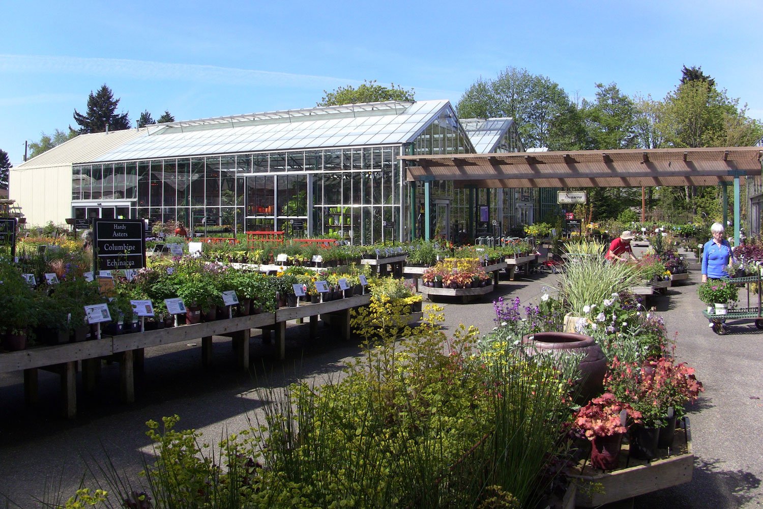 Pots for Indoor Plants — Seattle's Favorite Garden Store Since 1924 -  Swansons Nursery